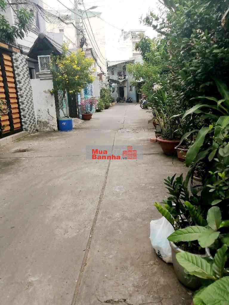 Bán Nhà Trung Tâm Quận 6 Vị Trí Đẹp Không QH Diện Tích Khủng Hơn 65m2