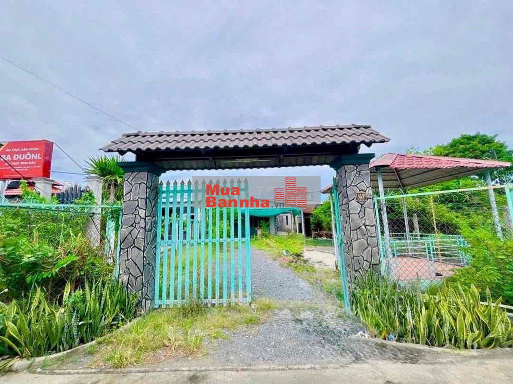 Bán Nhà Vườn 10 x35 Sổ Hồng Riêng 346m2