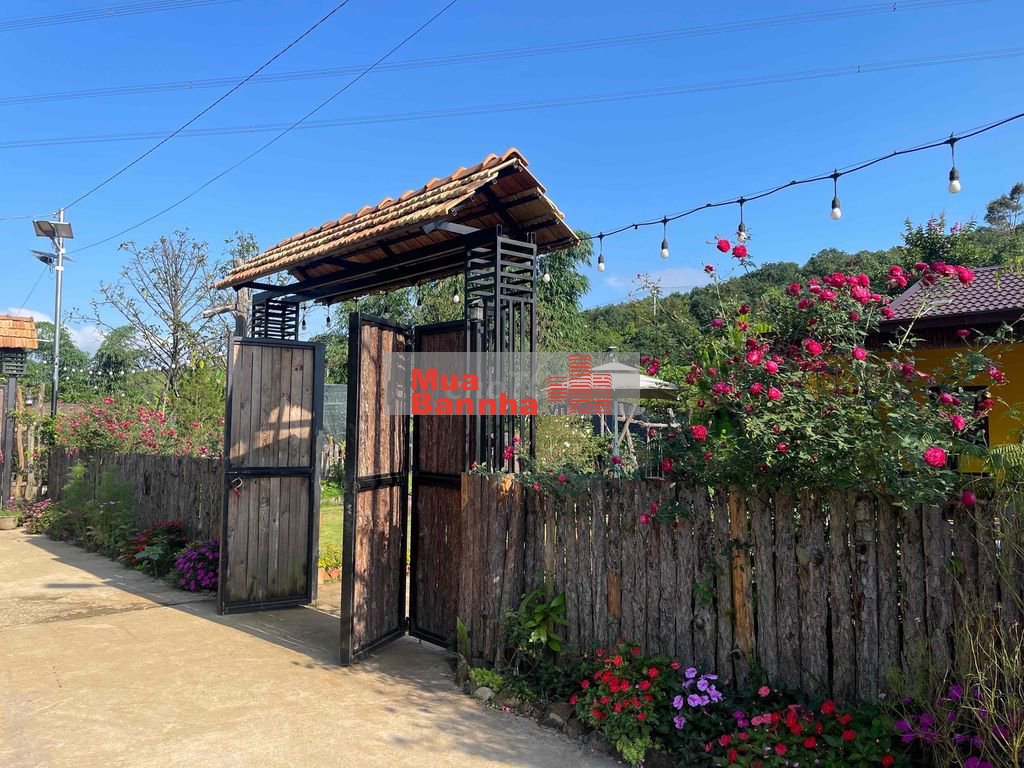 BÁN NGÔI NHÀ HOA HỒNG - PHƯỜNG LỘC TIẾN - BẢO LỘC