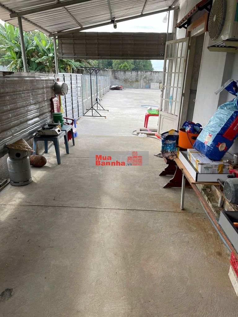 "Nhà vườn Hòa Phú - Củ Chi chỉ 4.3 tỷ