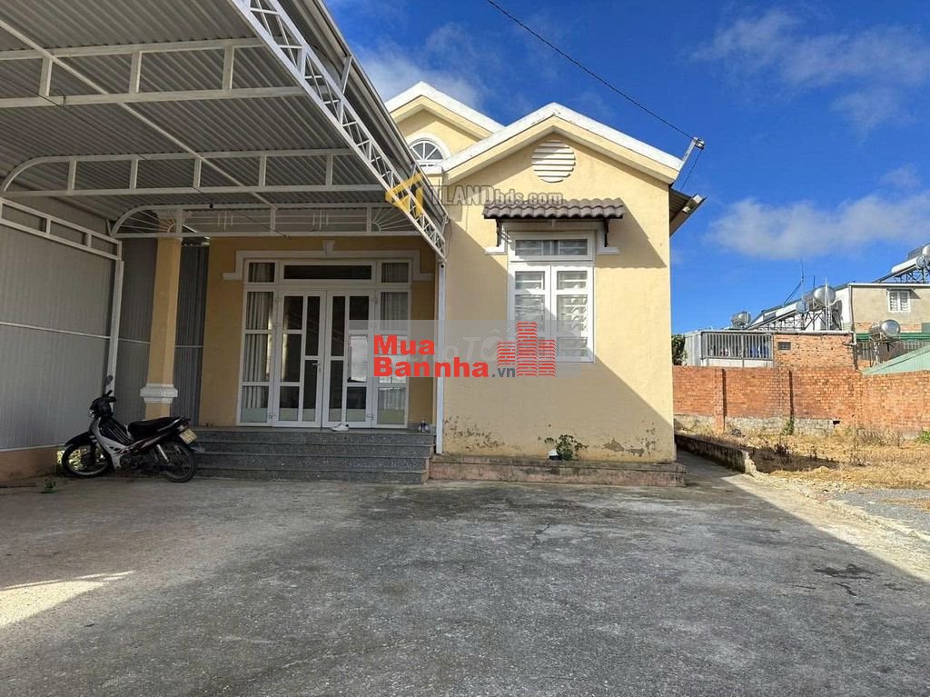 Bán Đất Tặng Nhà Cấp 4 Mặt Tiền Trần Đại Nghĩa P8 Đà Lạt 12,5 Tỷ