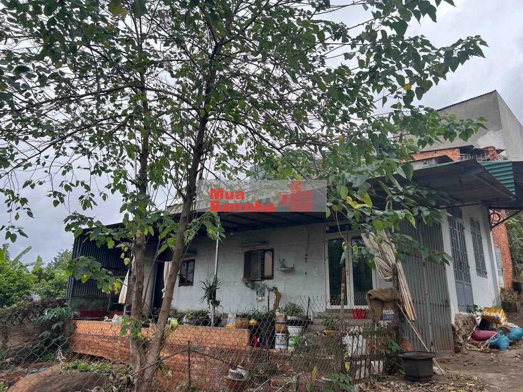 Bán nhà cấp 4 Amasa