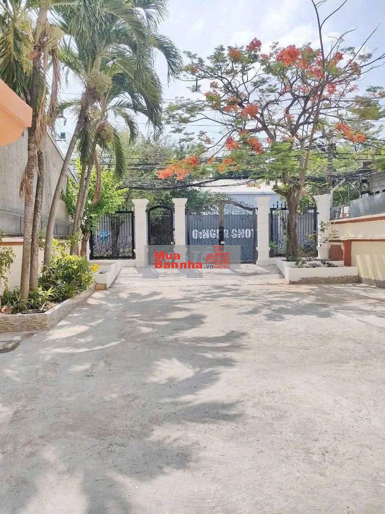 Biệt thự 300m² giá chỉ 16ty