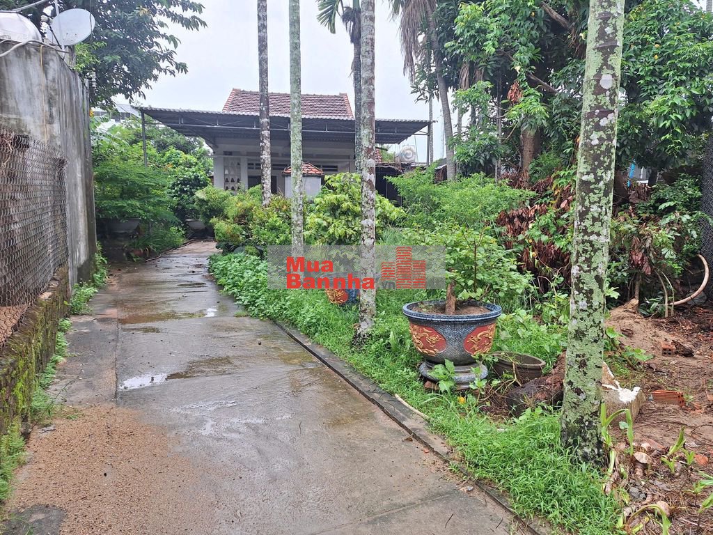 Bán 2 Lô đất liền kề P.Chánh Lộ, Đường 3m, DT18x25 (493m2 Full thổ cư)