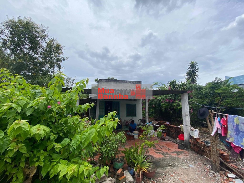 TÌM ĐẤT RỘNG XÂY TỔ ẤM? 343M² NGANG 10.6M GIÁ CHỈ 1.3 TỶ!