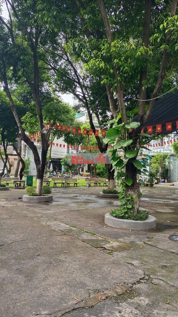 Không Gian Sống Xanh, Xe Hơi Ngủ Trong Nhà, 4 Tầng 4 PN