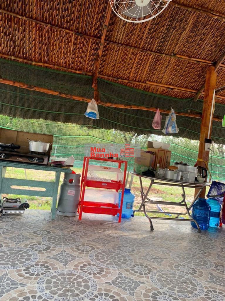 Bán nhà vườn Thái Mỹ - Củ Chi: 954m2(24x37) - 300m2 thổ cư. Giá 2tỷ200