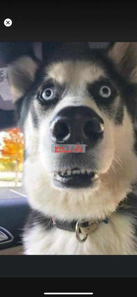 🔥🔥 BÁN NHÀ ĐẸP HẺM SANG 4 TẦNG LÊ VĂN QUỚI, 68.99M2 CHỈ 7.85 TỶ🔥🔥