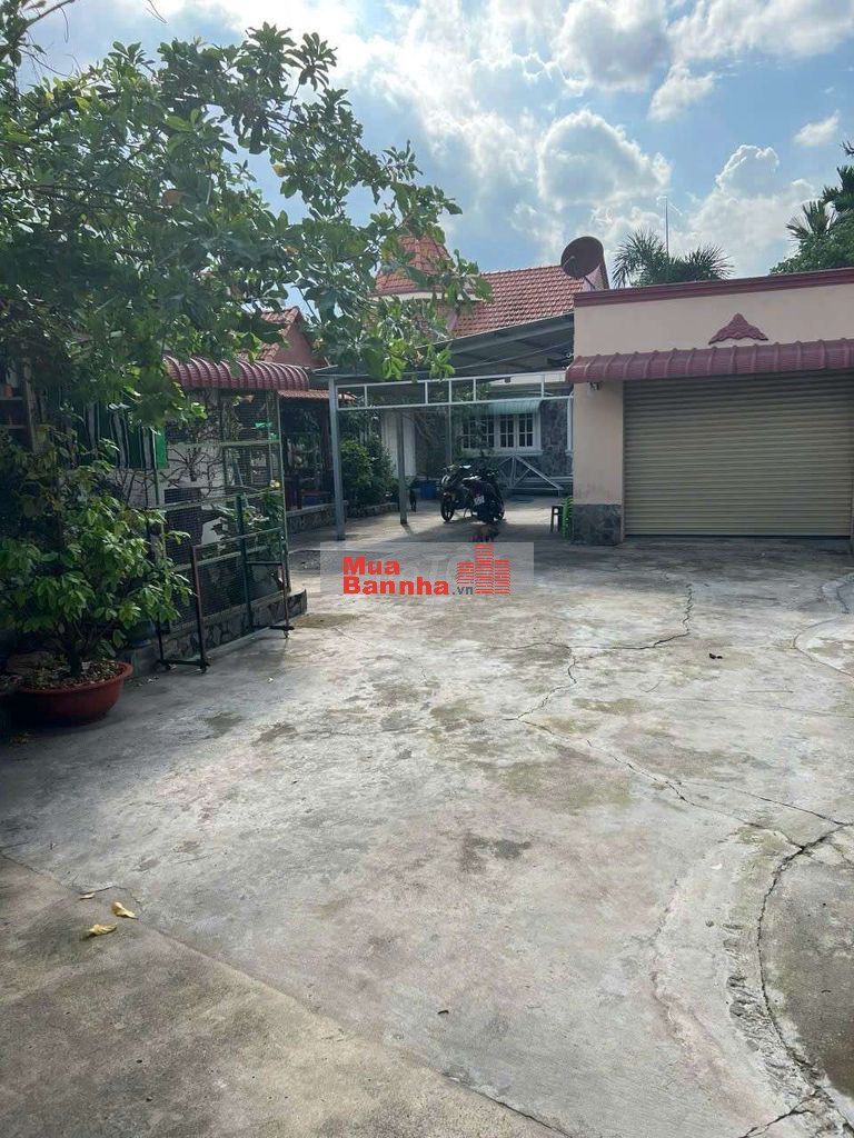 Nhàn vườn 883m mặt tiền gần chợ Búng và  Lái Thiêu  Tp.Thuận An