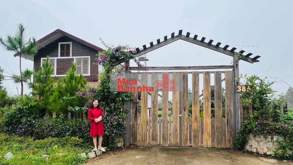 CHÍNH CHỦ BÁN VILLA MT 600M2 TP. BẢO LỘC THUNG LŨNG SƯƠNG MÙ