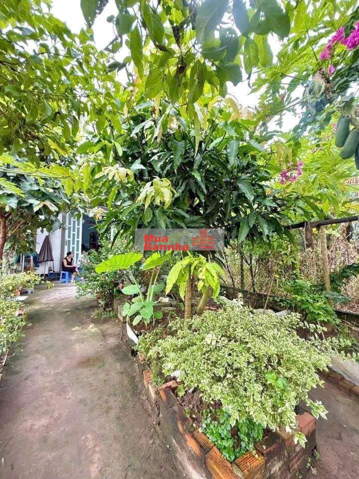 NHÀ GIÁ RẺ MẶT TIỀN QUỐC LỘ 54 GẦN CẦU CẦN THƠ