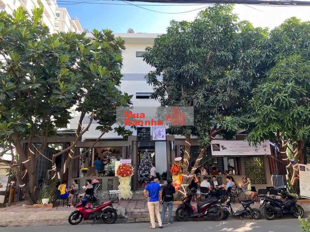 Biệt thự sân vườn, 3 tấng, 10 x 17m, 3PN, Gần Võ Văn Kiệt, An,Bình Tân