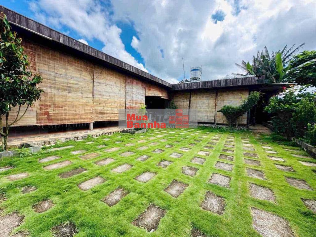 2500m2, sẵn 4 căn nhà + sân vườn, sẵn thổ cư TT Lộc An, giá đầu tư