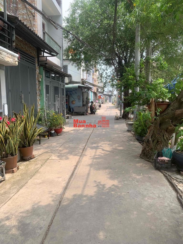 Bán nhà SH riêng 2 sẹc đường số 1 Tân Tạo A