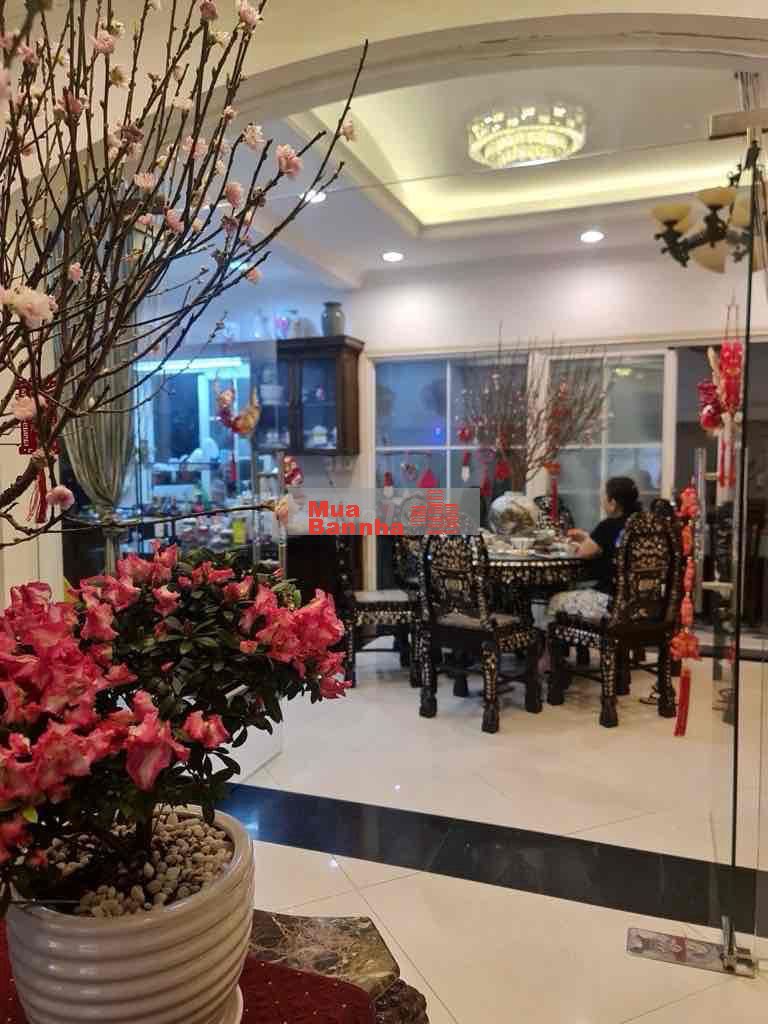 Biệt thự cao cấp ngay trường đại học kinh tế. Nguyễn Văn Linh