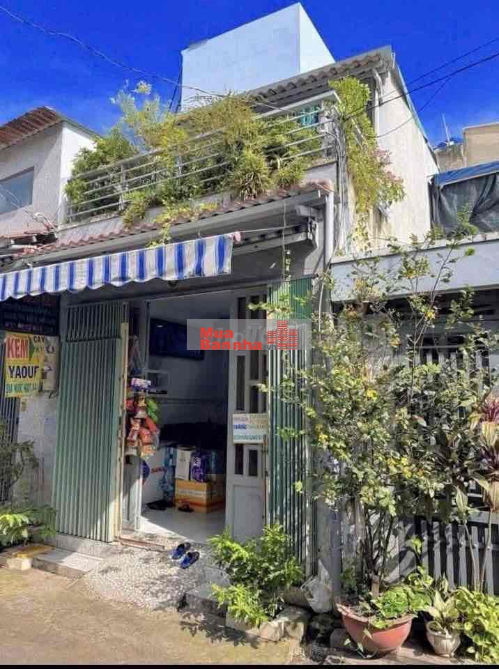 Bán nhà riêng tại Đường Dương Đình Cúc, Xã Tân Kiên, Bình Chánh, TP.HC