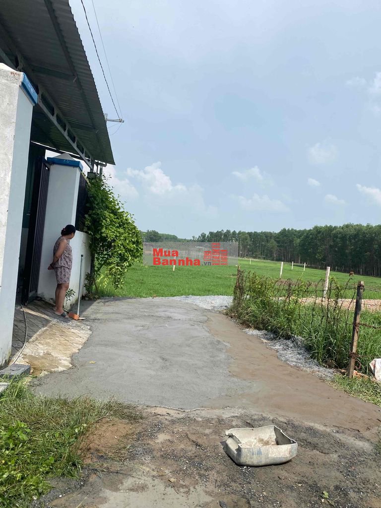 bán nhà mới giáp bửu long