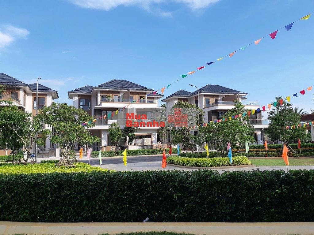 Chính chủ gửi bán Biệt thự song lập Swan Bay - Zone 8. Hướng đông nam