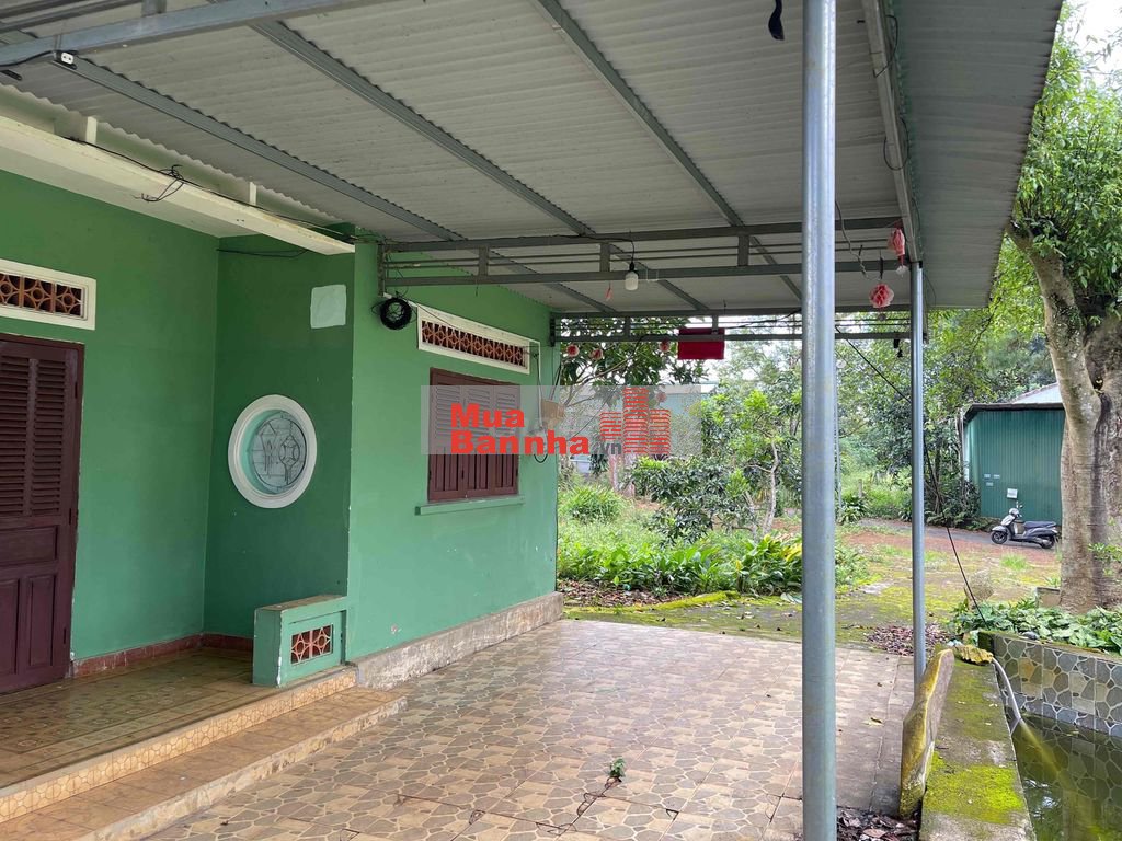 🏡 CHÍNH CHỦ GỬI BÁN 659M² ĐẤT ĐẸP – CÓ NHÀ CẤP 4 – PHƯỜNG 2, BẢO LỘC