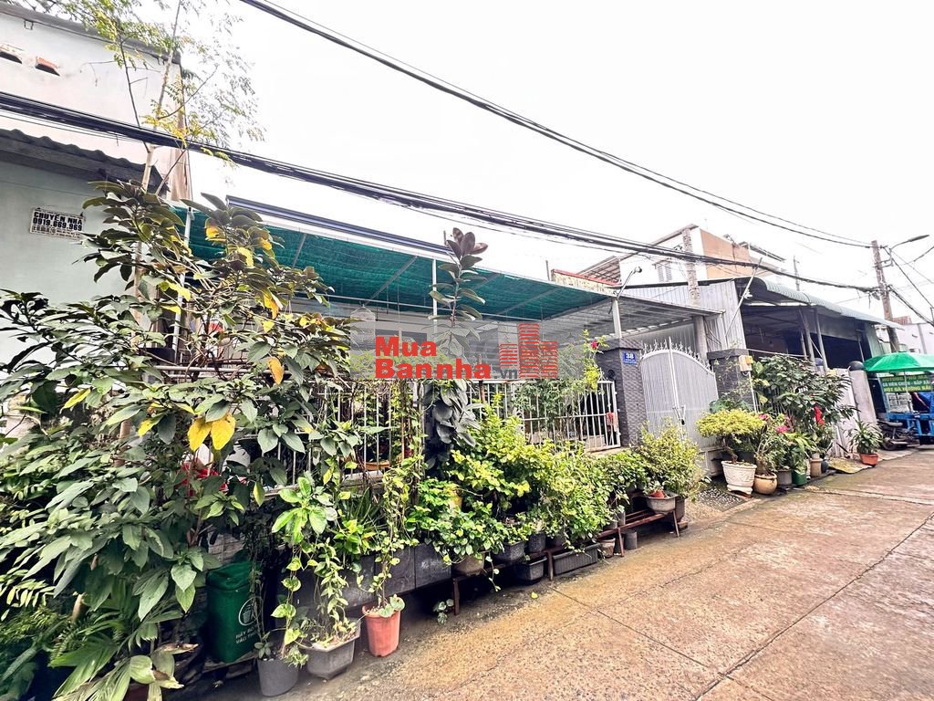 chính chủ bán nhà sát nguyễn văn tăng ,tp.thủ đức , 123m2- ngang 6,6m