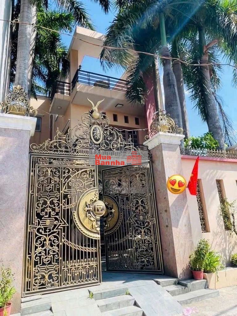 Biệt thự mini 8m x 16,5m. 2 tầng Đường Lê Thị Riêng