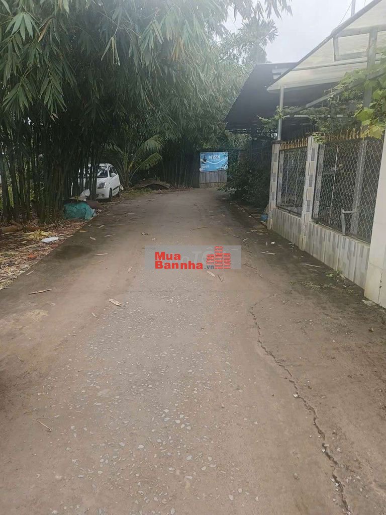 Bán nhà mái thái+ đất