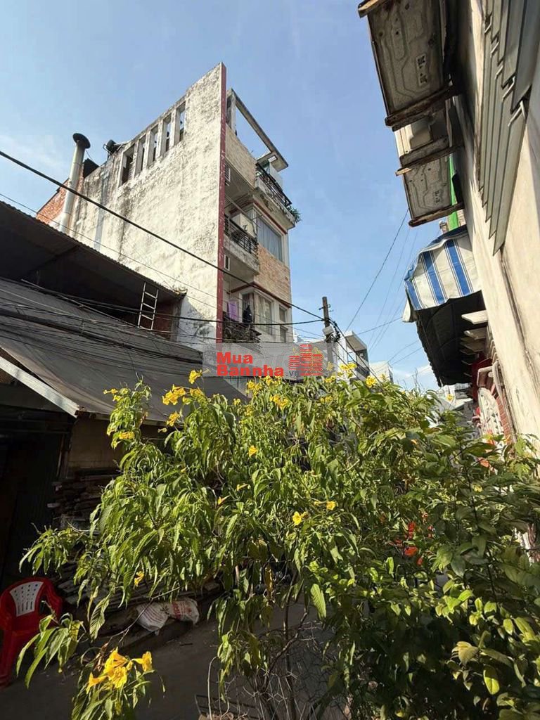 🏢 BÁN CĂN HỘ DỊCH VỤ 1 TRỆT 3 LẦU – HOÀNG XUÂN NHỊ, TÂN PHÚ 💥