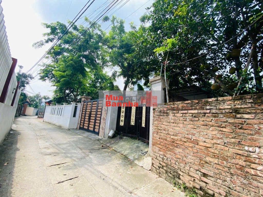 ✨️✨️Nhà 140m2 Hoàng Kim, Mê Linh - View toàn Biệt Thự - Ô Tô 🚘 đỗ Sân