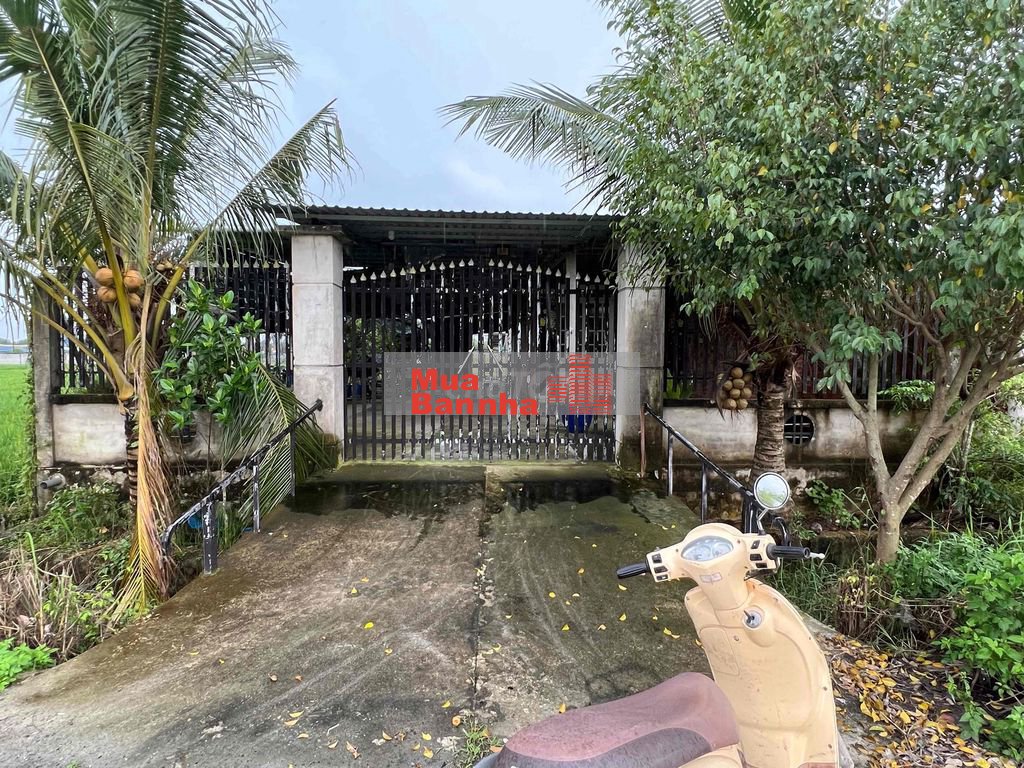 cần bán nhà vườn cấp 4 diện tích 884m2