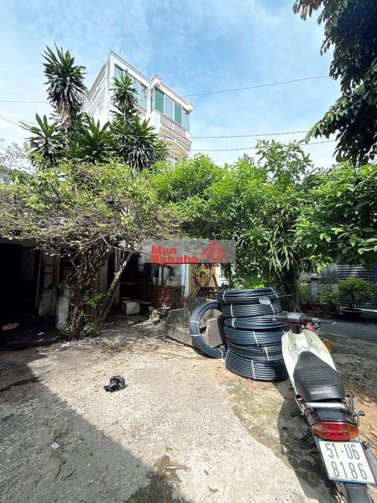 Bán nhà Nguyễn Thiện Thuật, Bình thạnh