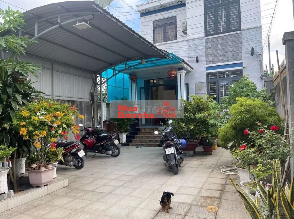 Nhà Kiên cố xây tâm huyết. Ngộp