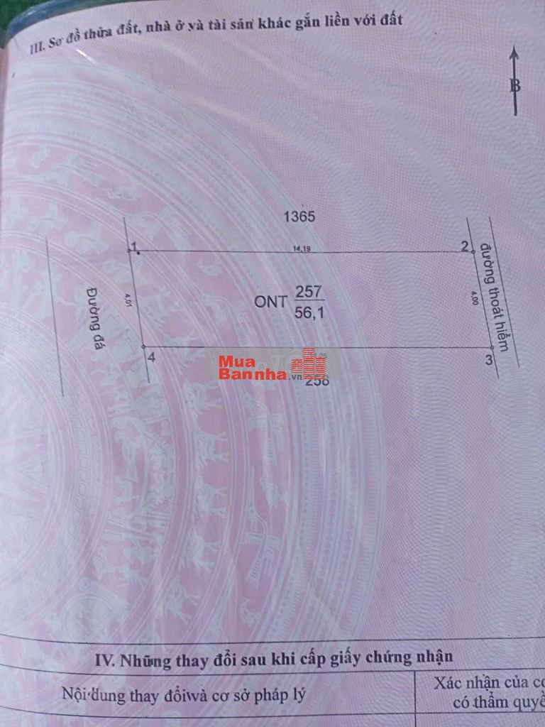 nha dang ở vi trí ap binh tã duc hoa long an