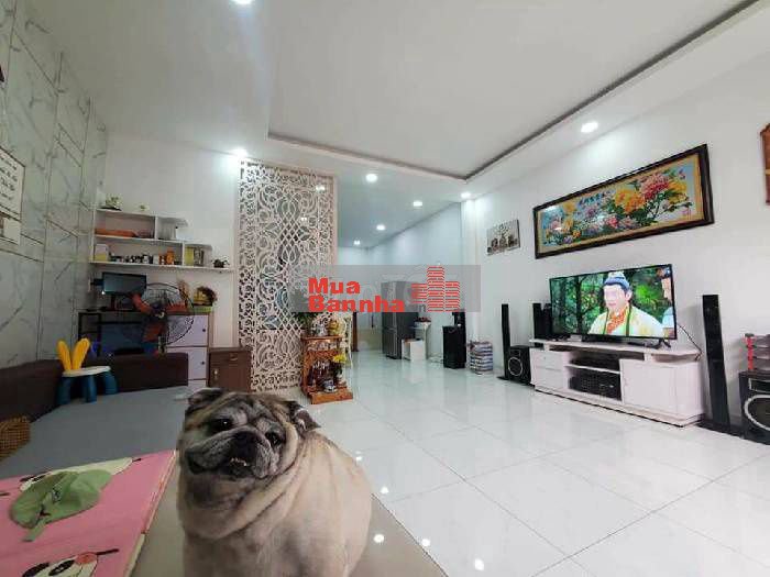 NHÀ MỚI Ở NGAY TẠI ĐƯỜNG HOÀNG HOA THÁM DIỆN TÍCH 53 M2 GIÁ CHỈ 6,5 TỶ