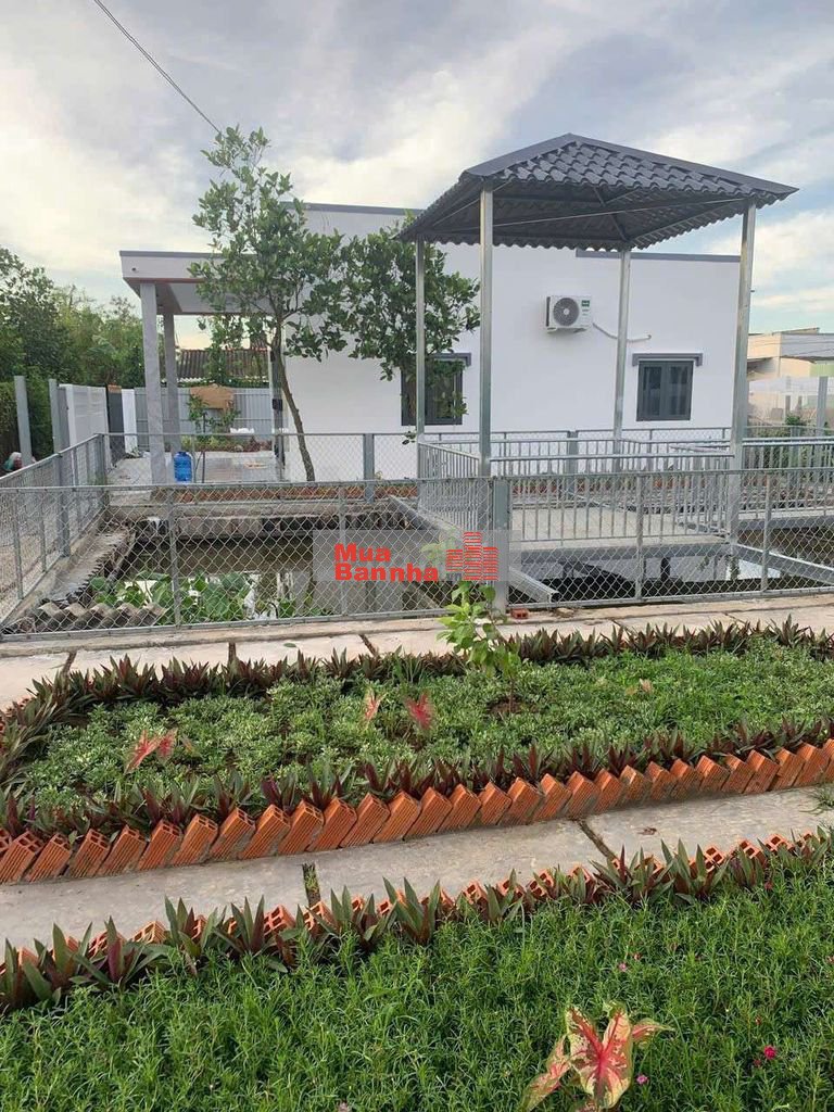 Nhà Vườn Sổ Hồng Riêng, Gò Công Tiền Giang