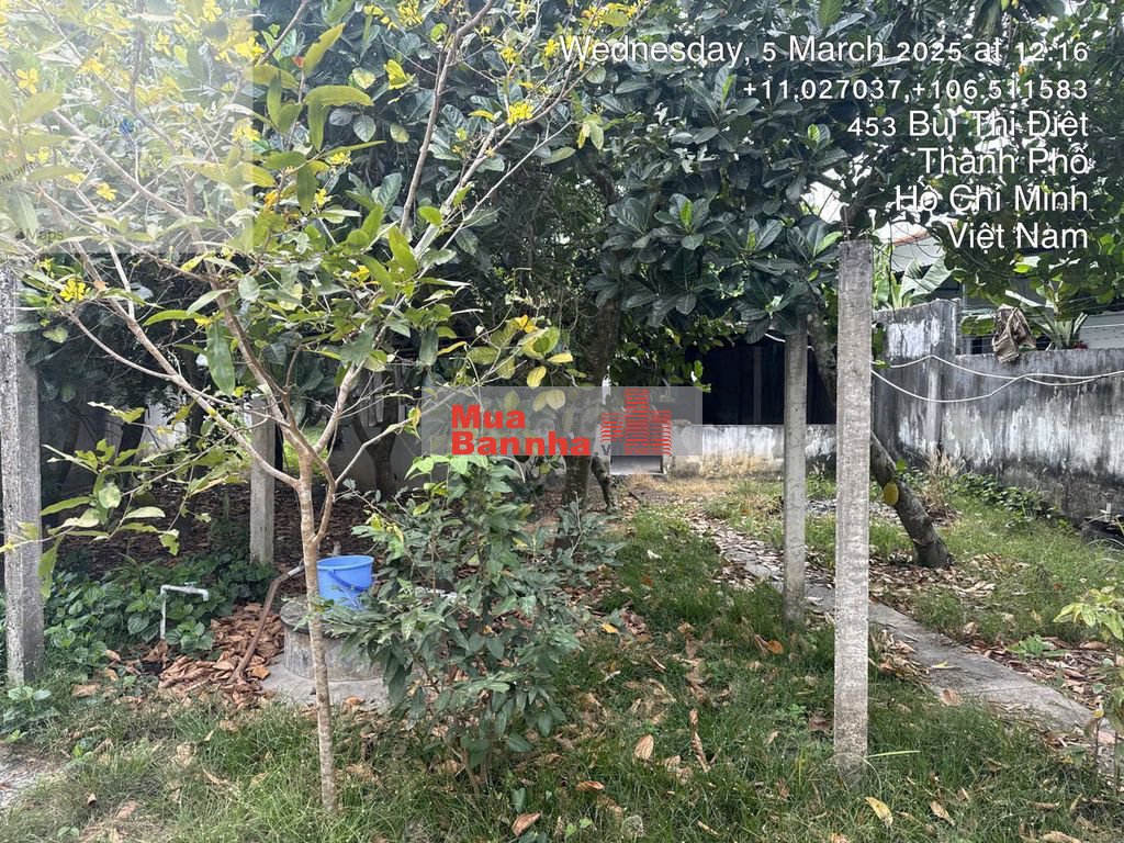 Bán nhà mặt tiền đường Bùi Thị Điệt, xã Phạm Văn Cội, huyện Củ Chi