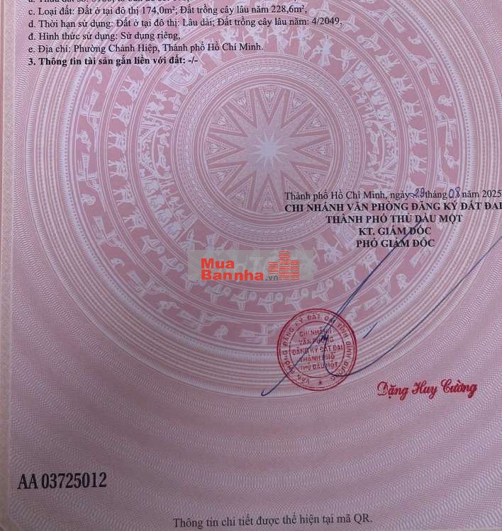 Nhà Đường Hoàng Hoa Thám, 10x40m, trệt lầu 1