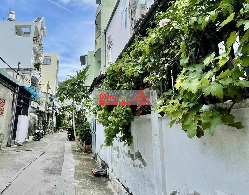 Nhà đẹp kiên cố, 5x16m, 4 tầng, chỉ 8.5 tỷ Huỳnh Tấn Phát quận 7