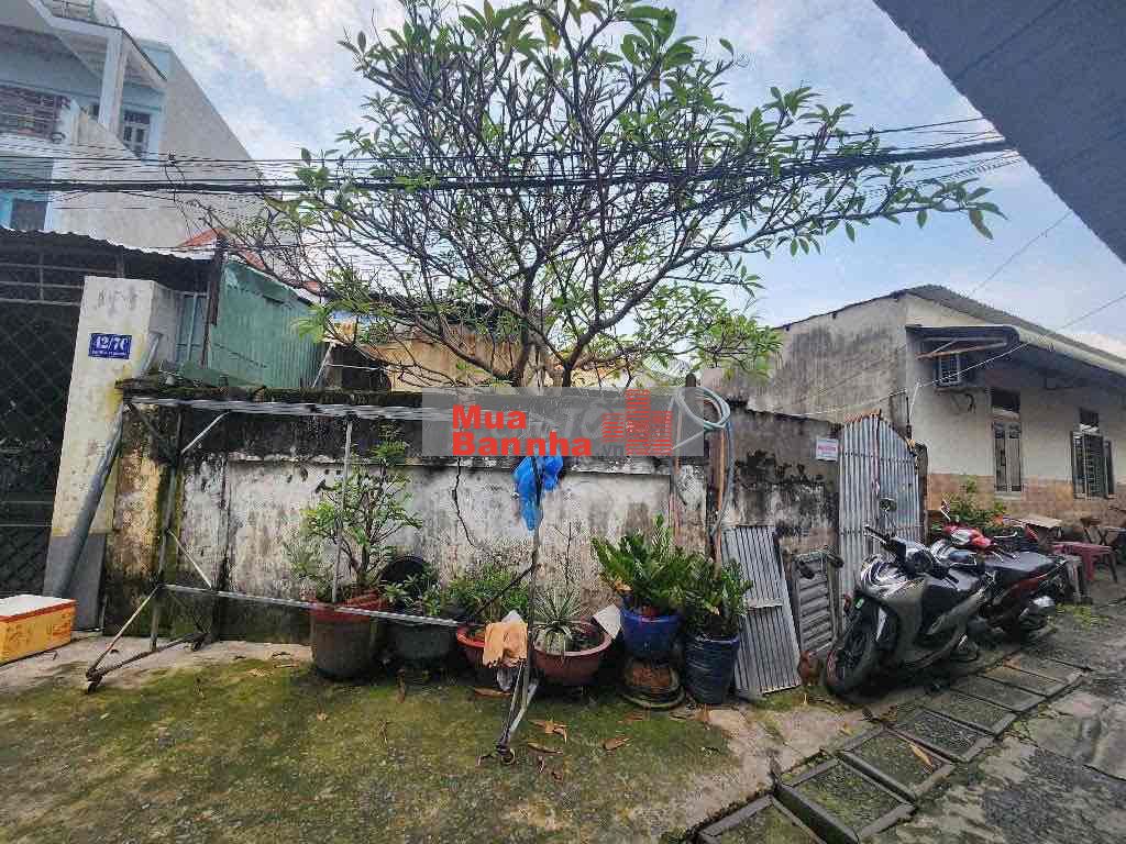 NHÀ NÁT 8X15 NGAY LÝ THƯỜNG KIỆT THỊ TRẤN HÓC MÔN 133M2 GIÁ SIÊU RẺ