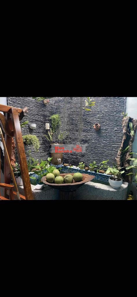 Nhà ngang 7m diện tích 123m2 đường nhựa 10m Quận 9