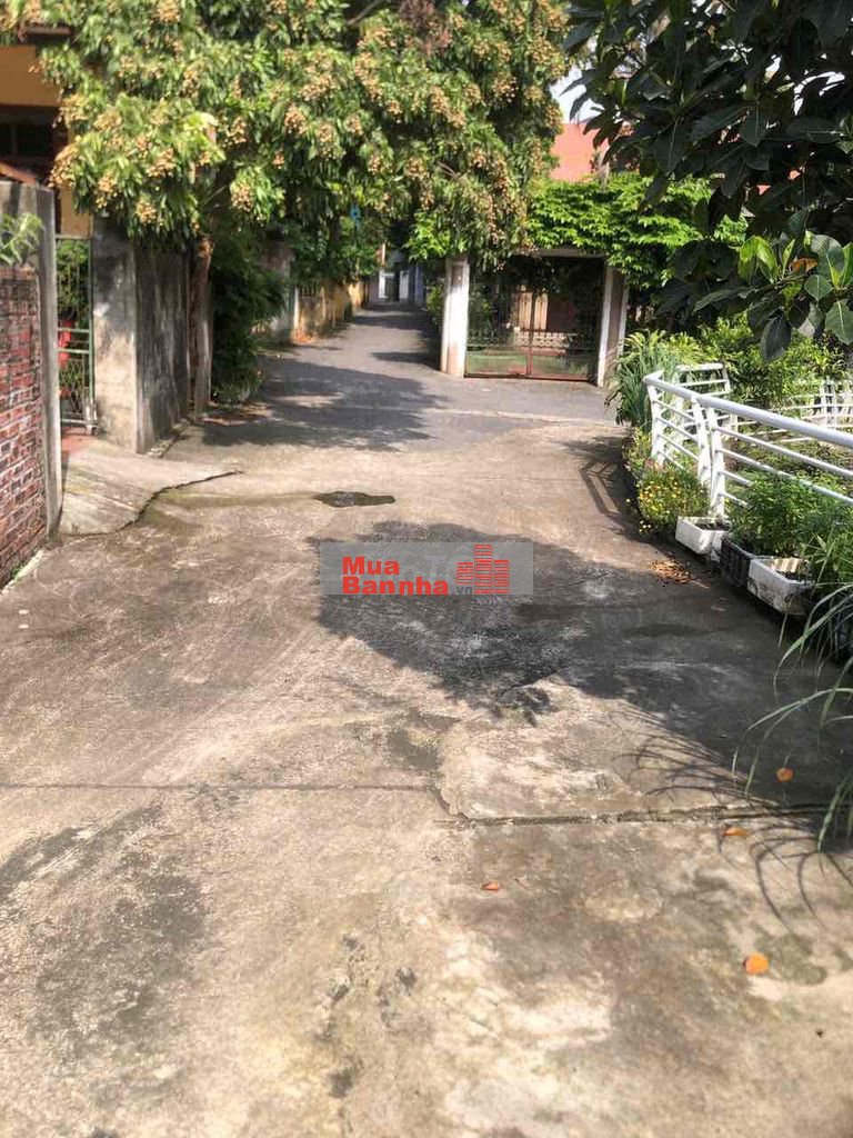 ban nhà vườn biêt thự