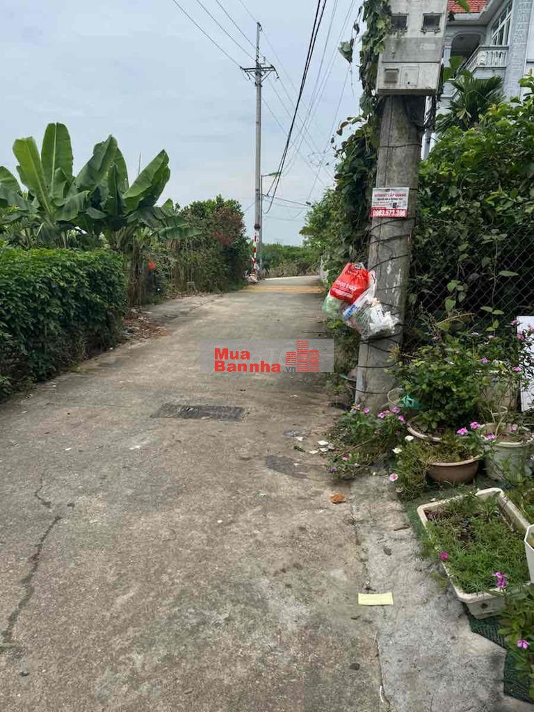 BÁN GẤP NHÀ XUÂN ĐỖ–46M²–SỔ VUÔNG–Ô TÔ TRÁNH–PHÙ HỢP Ở, KINH DOANH