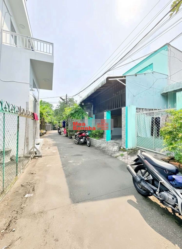 Bán nhà cấp 4 có sân vườn diện tích rộng tổng 297,9m2 - Số nhà 29P/3