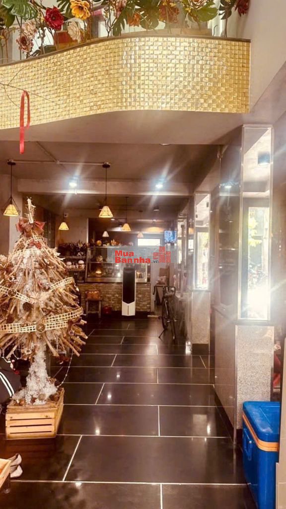 CHÍNH CHỦ - CƠ HỘI VÀNG – MUA NGAY KẺO LỠ 💰⚡ - Cây Keo