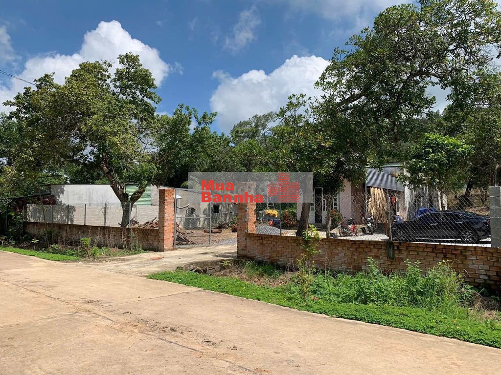 Nhà CẤP 4 gần Thị Trấn Định Quán đá ba chồng DT; 30 x 240m Thổ cư 300m