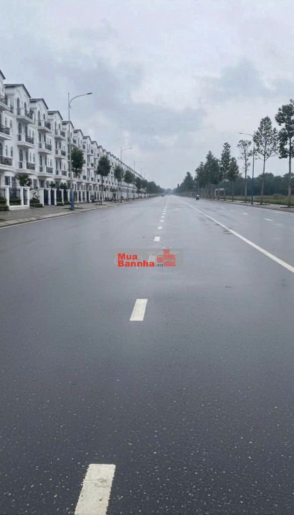 Golden Boulevard Phố Vàng Trên Đại Lộ Lê Lợi, Tp. Mới Bình Dương