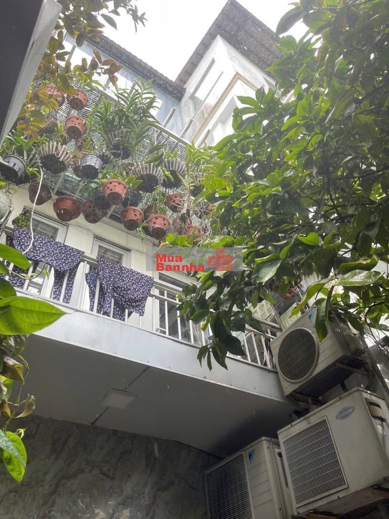 Biệt thự mini sân vườn, 3 tầng 80m2 (10x8), Công viên Làng Hoa,Gò Vấp