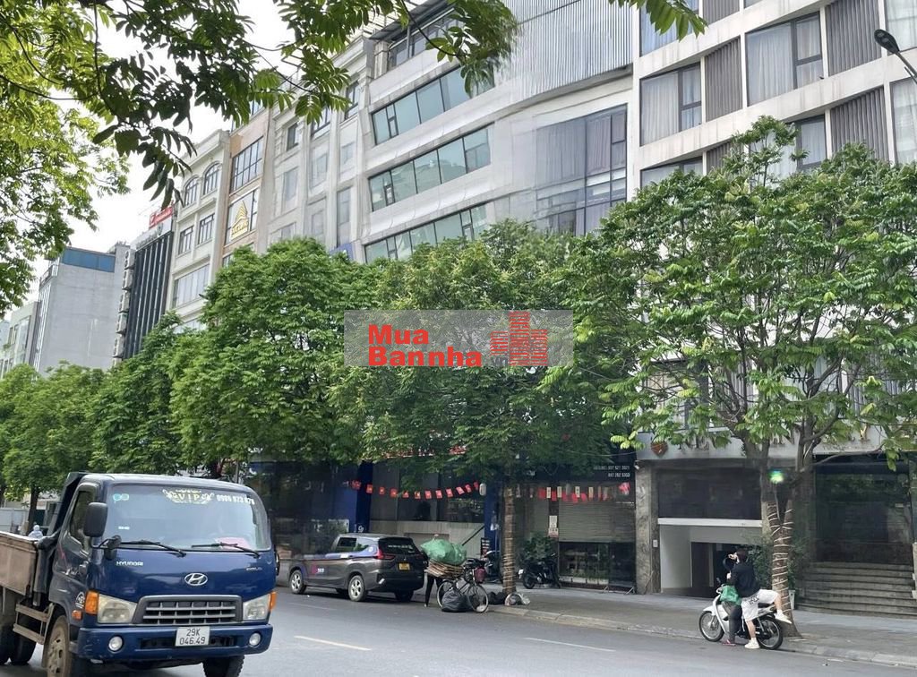 Nhà mới 7T Thang máy Ôtô tránh Khúc Thừa Dụ-Trương Công Giai mt 4,5m