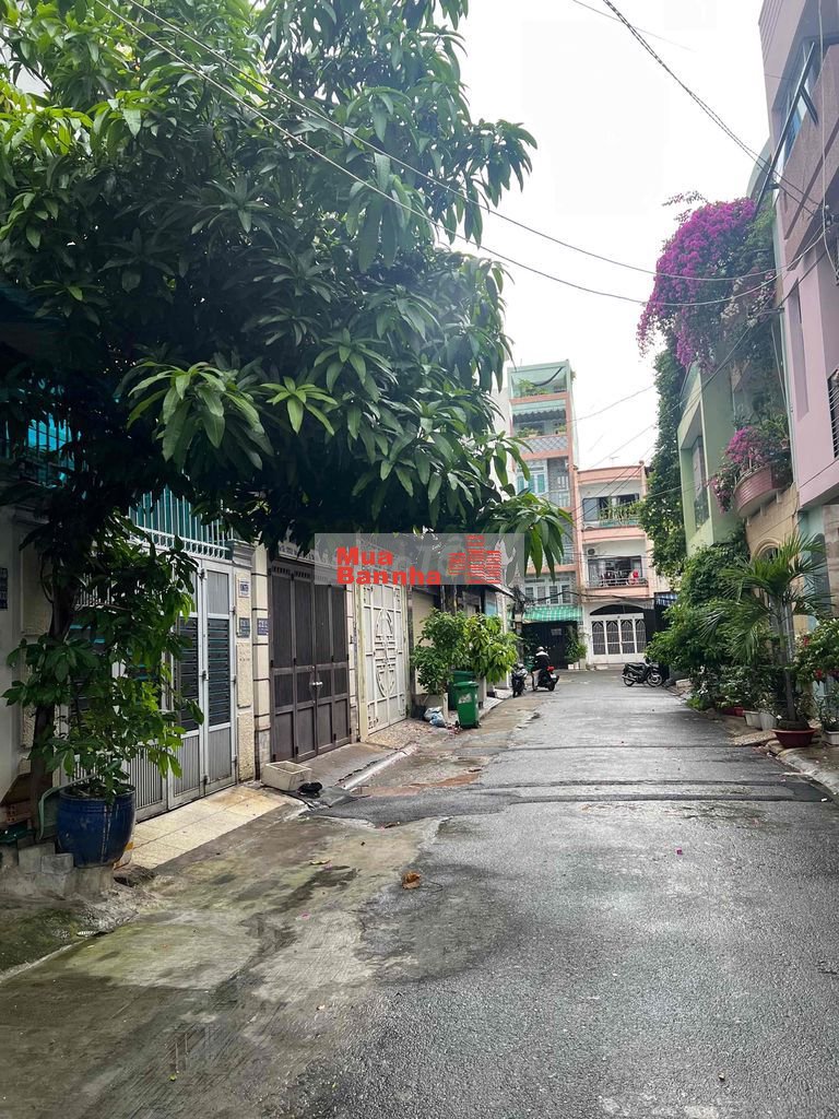 Tòa nhà MT Nguyễn Thái Bình, P.Bảy Hiền. DT 4.5x20m, 6 tầng-23.7 tỷ