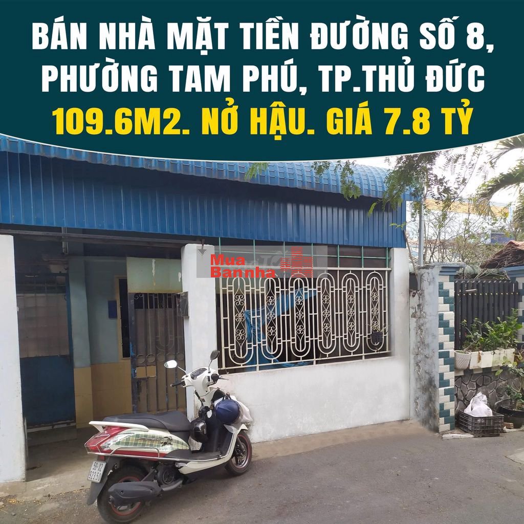 BÁN NHÀ MẶT TIỀN ĐƯỜNG SỐ 8, PHƯỜNG TAM PHÚ, TP. THỦ ĐỨC – NỞ HẬU