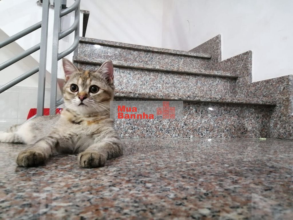 Cần bán nhà MT phường 13 Tân Bình